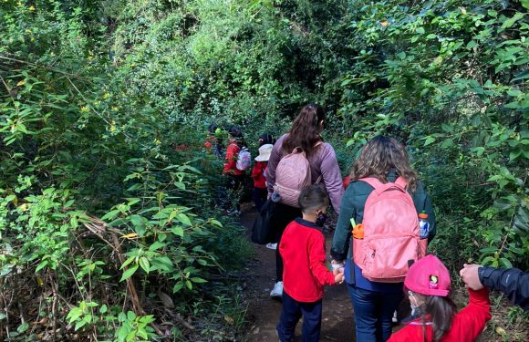 Salida pedagógica al “Parque Alessandri”