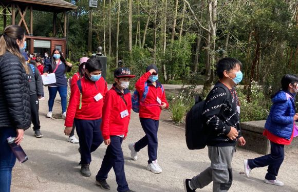 Salida pedagógica al “Parque Alessandri”