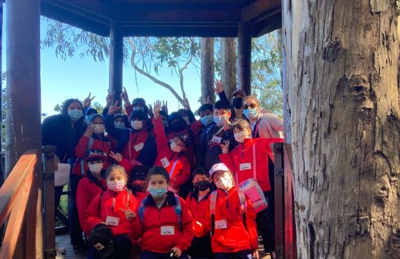 Salida pedagógica al “Parque Alessandri”