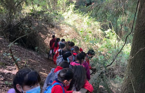 Salida pedagógica al “Parque Alessandri”