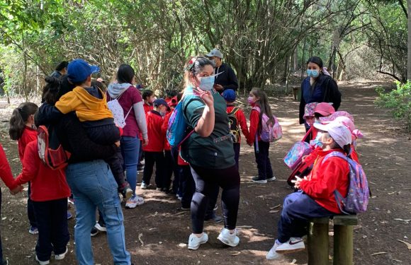 Salida pedagógica al “Parque Alessandri”