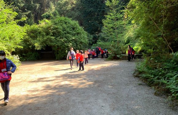Salida pedagógica al “Parque Alessandri”