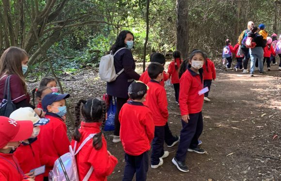 Salida pedagógica al “Parque Alessandri”