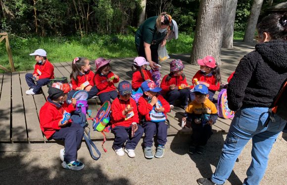 Salida pedagógica al “Parque Alessandri”