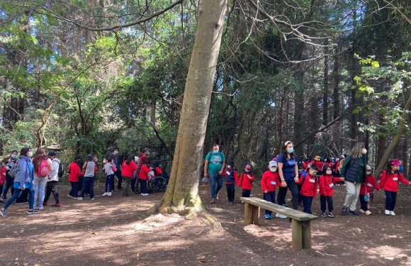 Salida pedagógica al “Parque Alessandri”