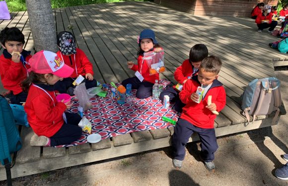 Salida pedagógica al “Parque Alessandri”