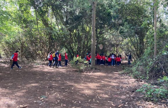 Salida pedagógica al “Parque Alessandri”