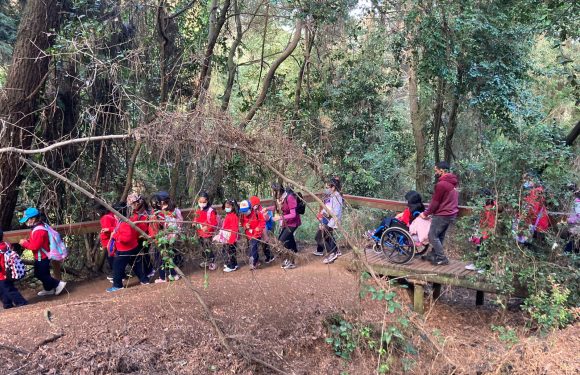 Salida pedagógica al “Parque Alessandri”