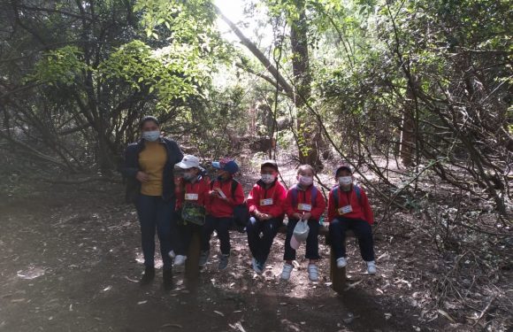 Salida pedagógica al “Parque Alessandri”