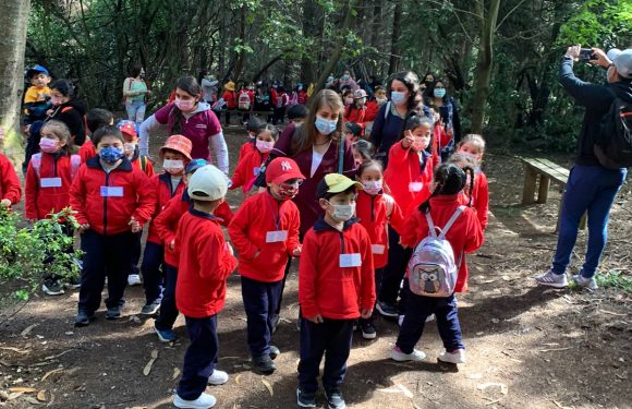 Salida pedagógica al “Parque Alessandri”