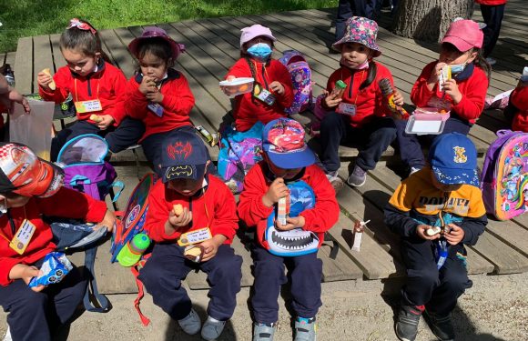 Salida pedagógica al “Parque Alessandri”