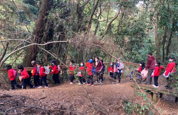 Salida pedagógica al “Parque Alessandri”
