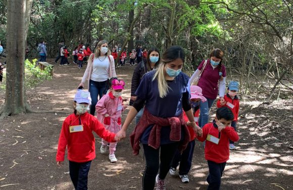 Salida pedagógica al “Parque Alessandri”