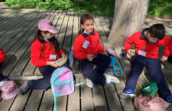 Salida pedagógica al “Parque Alessandri”