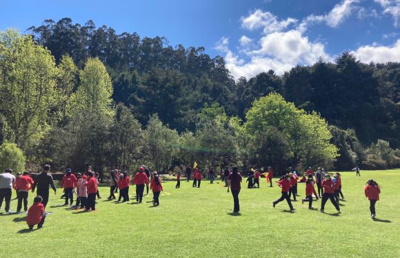 Salida pedagógica al “Parque Alessandri”