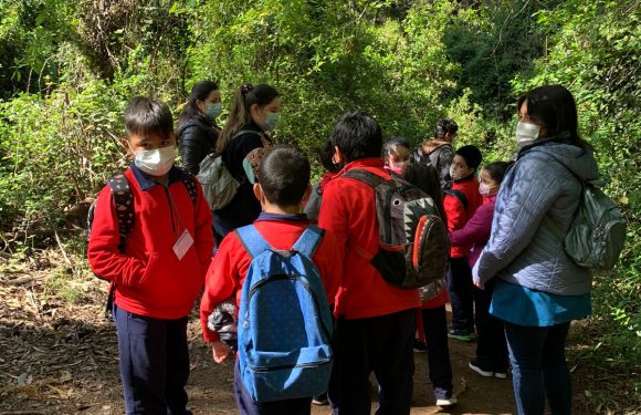 Salida pedagógica al “Parque Alessandri”