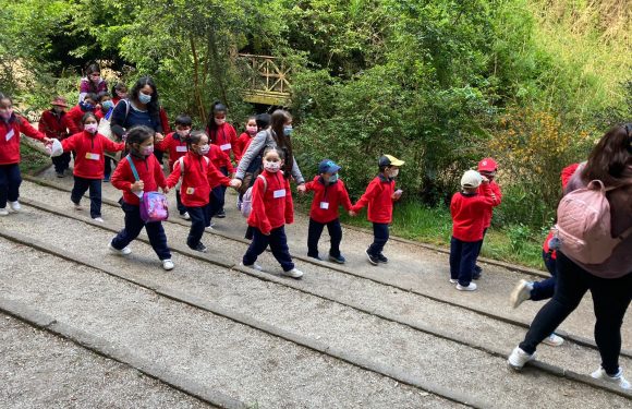 Salida pedagógica al “Parque Alessandri”