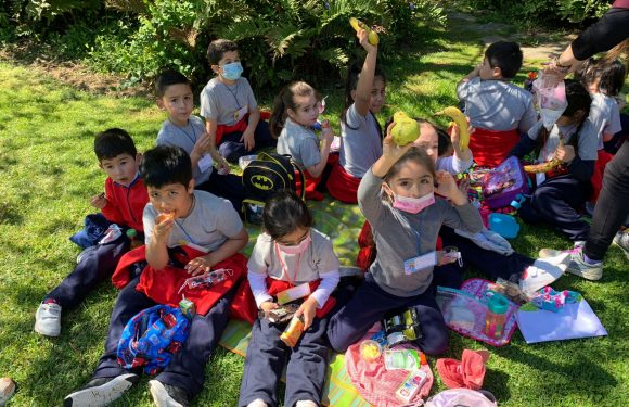 Salida pedagógica al “Parque Alessandri”