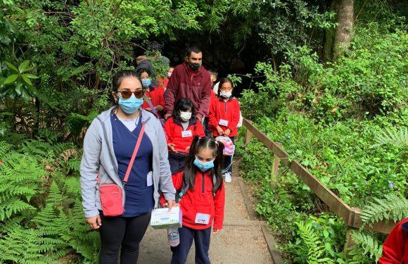 Salida pedagógica al “Parque Alessandri”