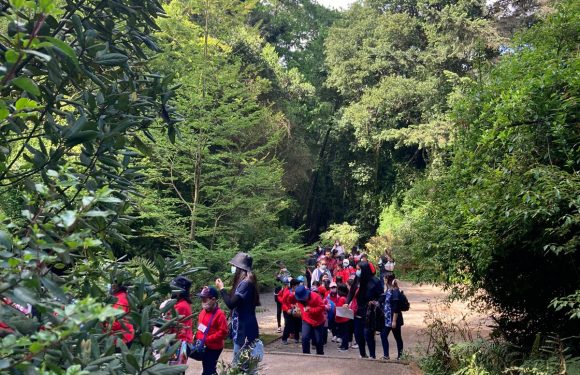 Salida pedagógica al “Parque Alessandri”