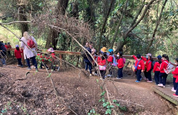 Salida pedagógica al “Parque Alessandri”