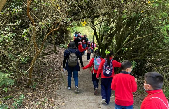 Salida pedagógica al “Parque Alessandri”