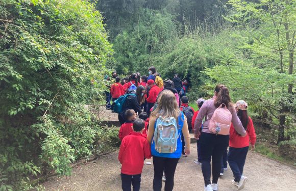 Salida pedagógica al “Parque Alessandri”