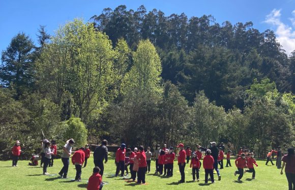 Salida pedagógica al “Parque Alessandri”