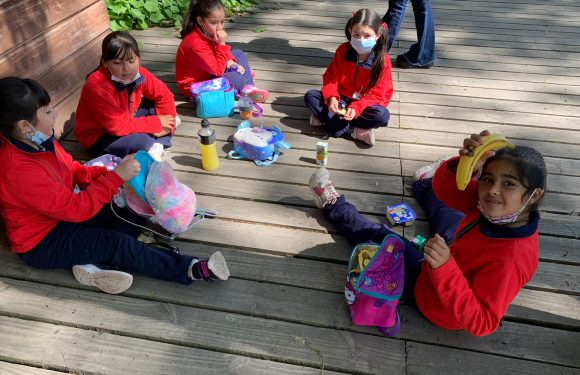 Salida pedagógica al “Parque Alessandri”