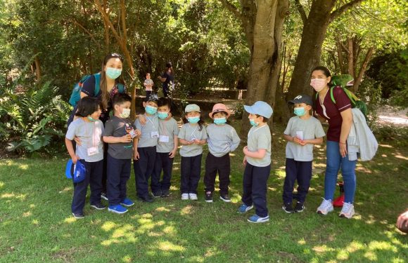 DÍA DE LA EDUCACIÓN PARVULARIA Y DEL EDUCADOR DE PÁRVULOS