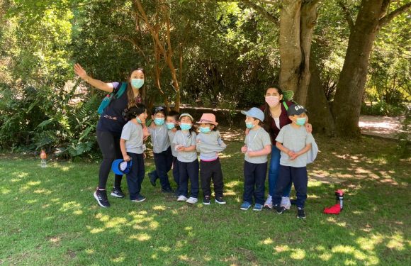 DÍA DE LA EDUCACIÓN PARVULARIA Y DEL EDUCADOR DE PÁRVULOS