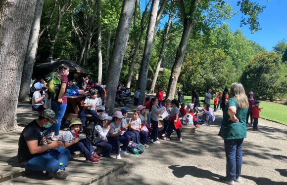 DÍA DE LA EDUCACIÓN PARVULARIA Y DEL EDUCADOR DE PÁRVULOS