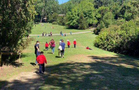 DÍA DE LA EDUCACIÓN PARVULARIA Y DEL EDUCADOR DE PÁRVULOS