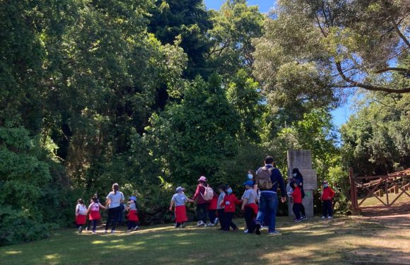 DÍA DE LA EDUCACIÓN PARVULARIA Y DEL EDUCADOR DE PÁRVULOS