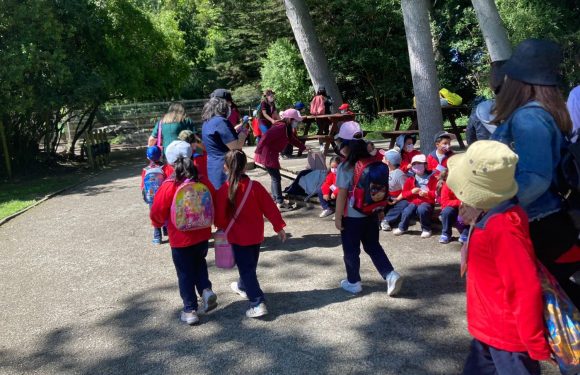 DÍA DE LA EDUCACIÓN PARVULARIA Y DEL EDUCADOR DE PÁRVULOS