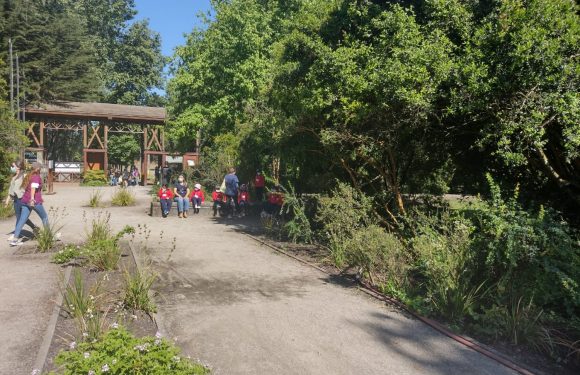DÍA DE LA EDUCACIÓN PARVULARIA Y DEL EDUCADOR DE PÁRVULOS