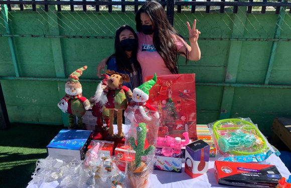 Primera feria del emprendimiento del colegio Lican Ray