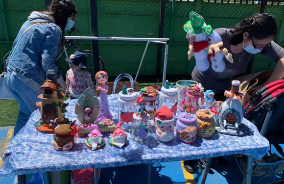 Primera feria del emprendimiento del colegio Lican Ray