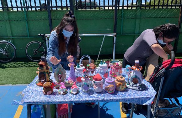 Primera feria del emprendimiento del colegio Lican Ray