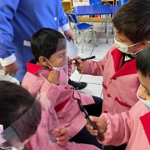 Partes de la cara Pre Kínder regular