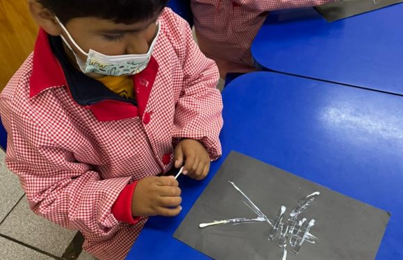 Conociendo el sistema óseo, Pre Kínder regular