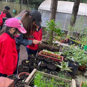 Salidas PEDAGÓGICAS