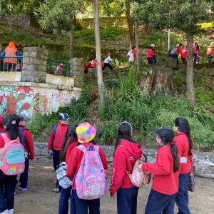 Estudiantes de 2do y 3ro básico aprenden en la naturaleza